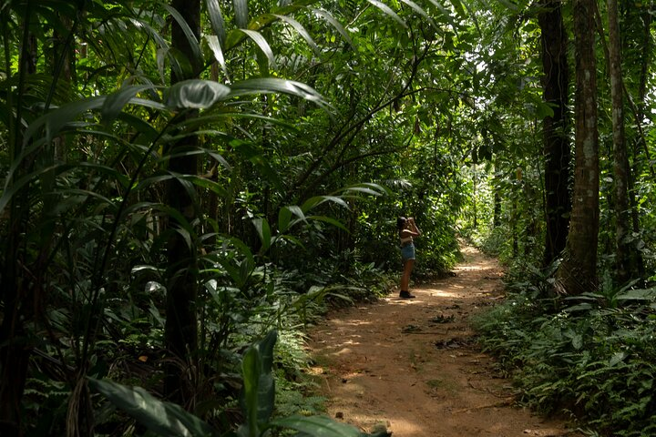 Exclusive Bird watching Private Tour With Accomodation - Photo 1 of 18